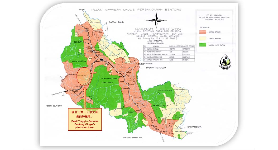 Serbuk Halia Bentong - Bukit Tinggi