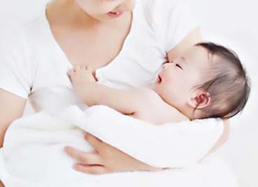 Halia Bentong Kegunaan Perubatan