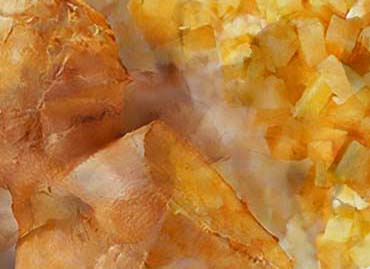 Halia Bentong Tiada Kandungan Serat