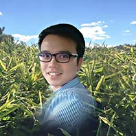 Siljack - Ginger Field Background